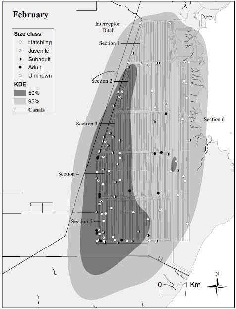 Kernel Density Map of crocodile locations at Turkey Point Power Plant