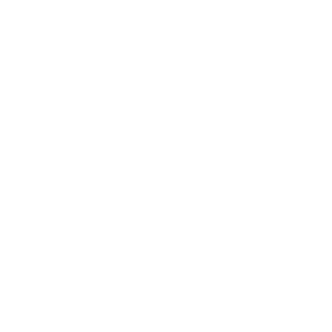 white outline icon electric vehicles