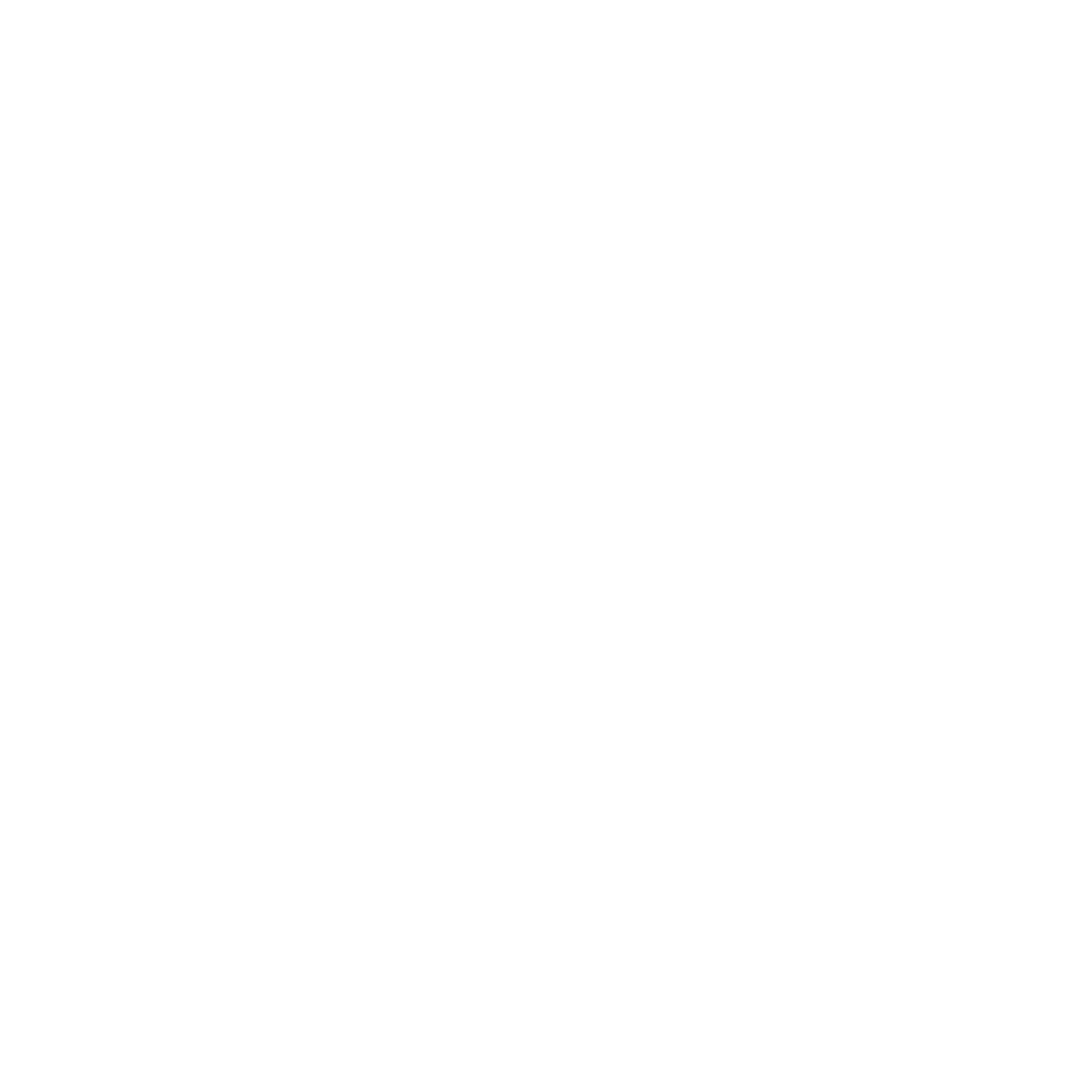 white outlined icon certified document