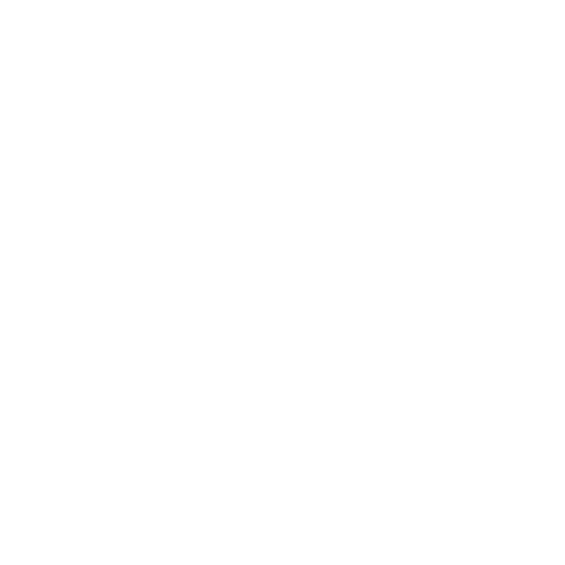 white outlined lock icon