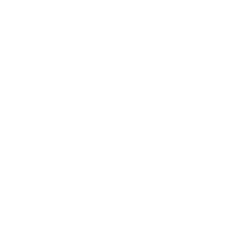 Light bulb icon