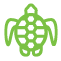 green turtle outline icon