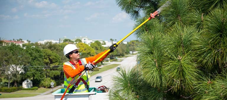 a contractor in a bucket truck trimming a tree