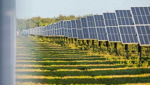 solar panels in a field